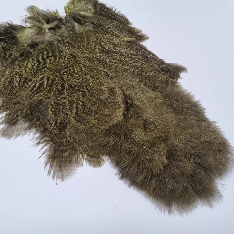 Whiting Coq de Leon Hen Soft Hackle with Chickabou in Speckled Olive-1